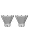 Edge Collections – Stainless Steel Martini Glasses Set of 2